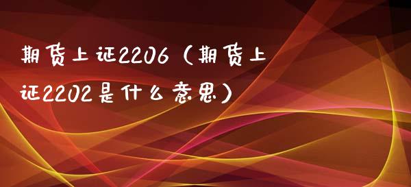 期货上证2206（期货上证2202是什么意思）