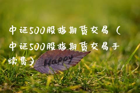 中证500股指期货交易（中证500股指期货交易手续费）