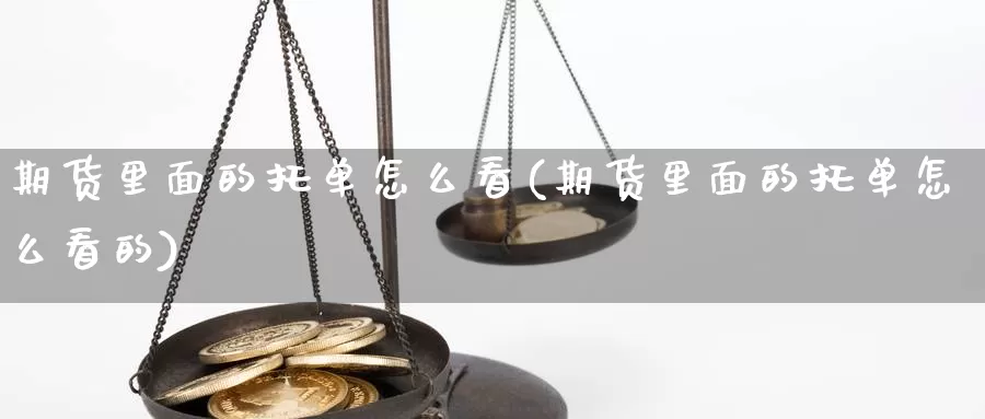 期货里面的托单怎么看(期货里面的托单怎么看的)