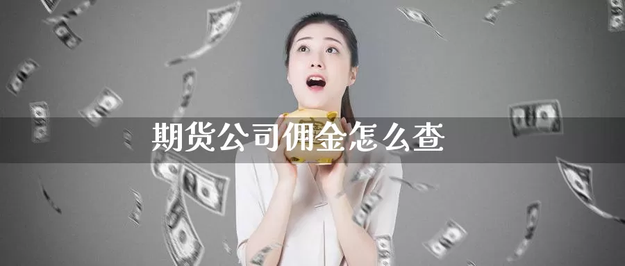 期货公司佣金怎么查