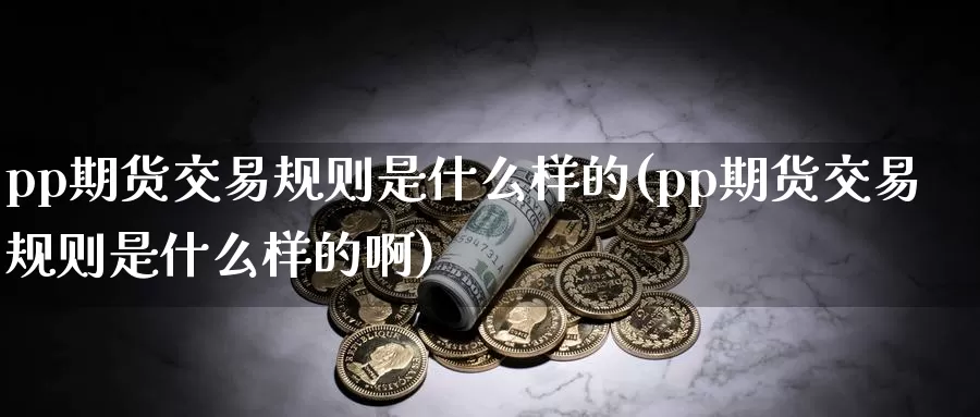 pp期货交易规则是什么样的(pp期货交易规则是什么样的啊)