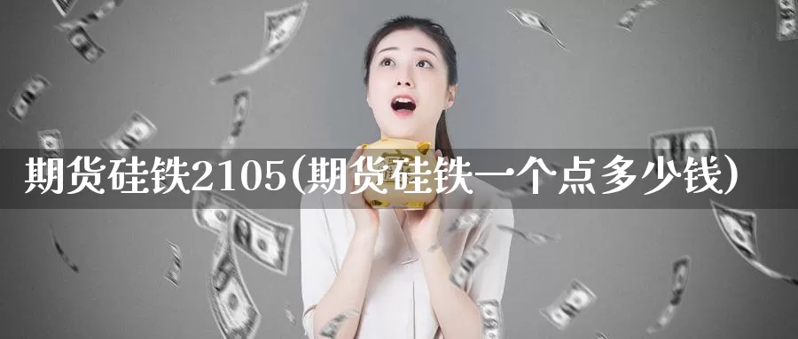 期货硅铁2105(期货硅铁一个点多少钱)