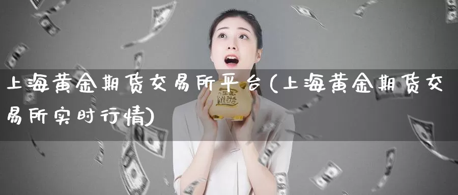 上海黄金期货交易所平台(上海黄金期货交易所实时行情)