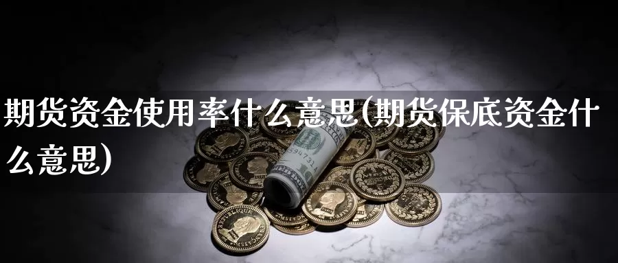 期货资金使用率什么意思(期货保底资金什么意思)