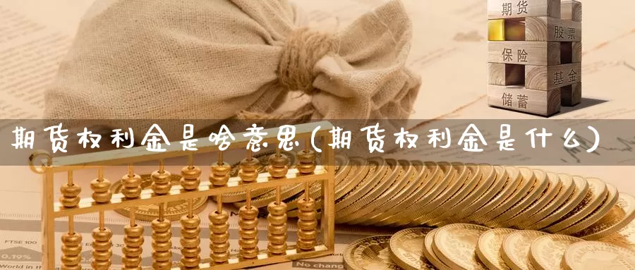 期货权利金是啥意思(期货权利金是什么)