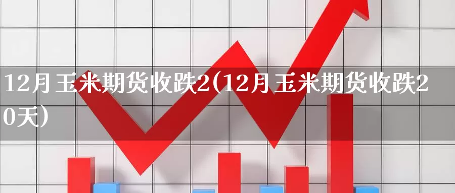 12月玉米期货收跌2(12月玉米期货收跌20天)