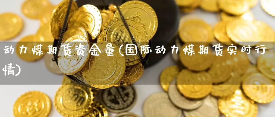 动力煤期货资金量(国际动力煤期货实时行情)