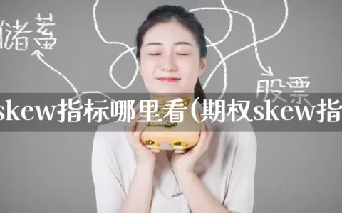 期权skew指标哪里看(期权skew指数)