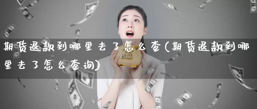 期货退款到哪里去了怎么查(期货退款到哪里去了怎么查询)