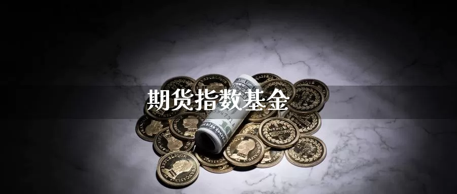 期货指数基金