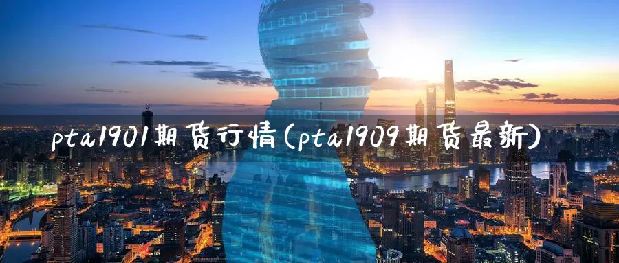 pta1901期货行情(pta1909期货最新)