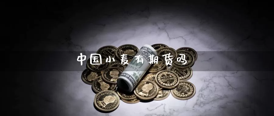 中国小麦有期货吗