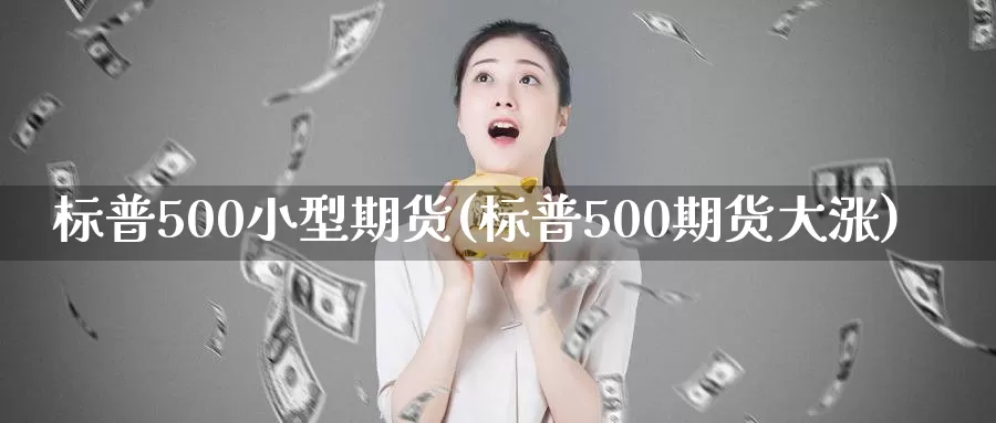 标普500小型期货(标普500期货大涨)