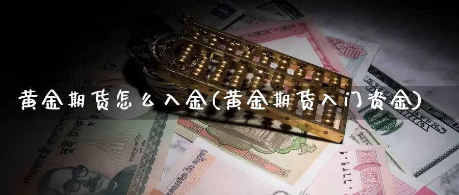 黄金期货怎么入金(黄金期货入门资金)