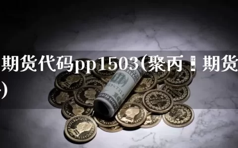 聚丙烯期货代码pp1503(聚丙烯期货代码是多少)