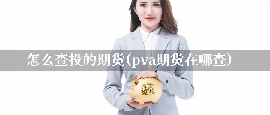 怎么查投的期货(pva期货在哪查)