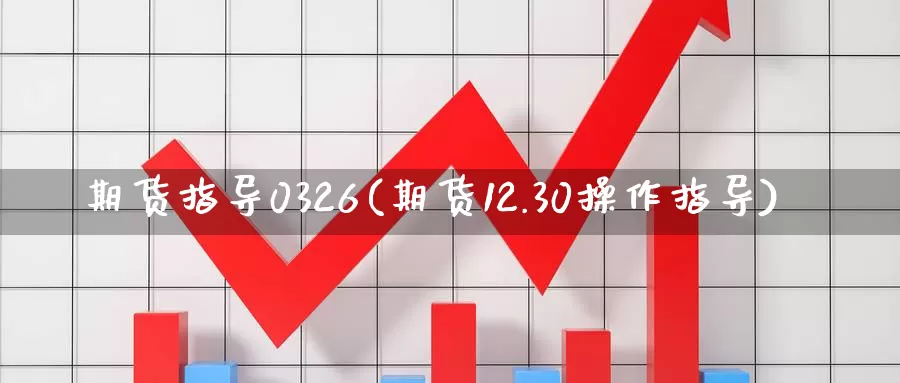 期货指导0326(期货12.30操作指导)