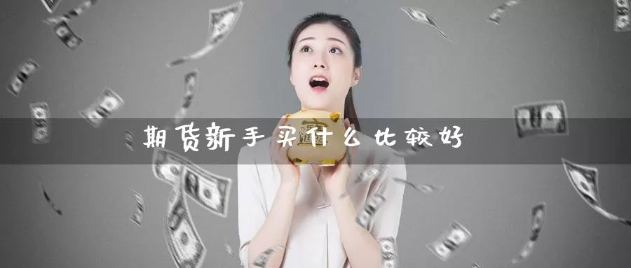 期货新手买什么比较好