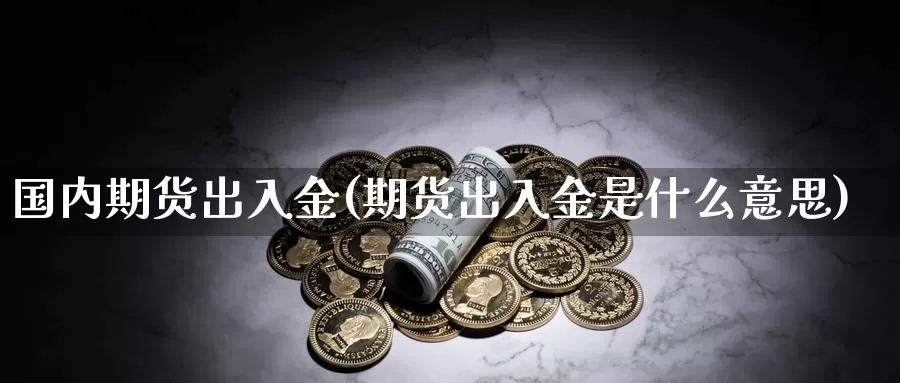 国内期货出入金(期货出入金是什么意思)