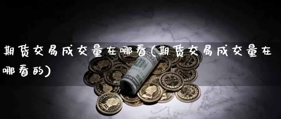 期货交易成交量在哪看(期货交易成交量在哪看的)