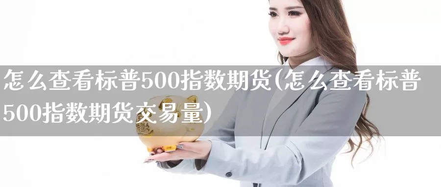 怎么查看标普500指数期货(怎么查看标普500指数期货交易量)