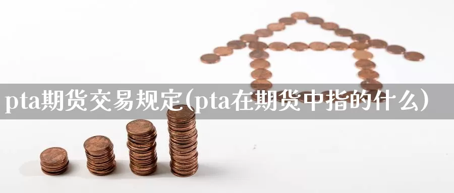 pta期货交易规定(pta在期货中指的什么)