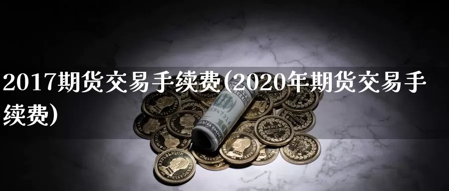 2017期货交易手续费(2020年期货交易手续费)