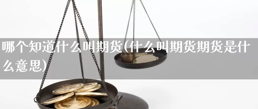 哪个知道什么叫期货(什么叫期货期货是什么意思)