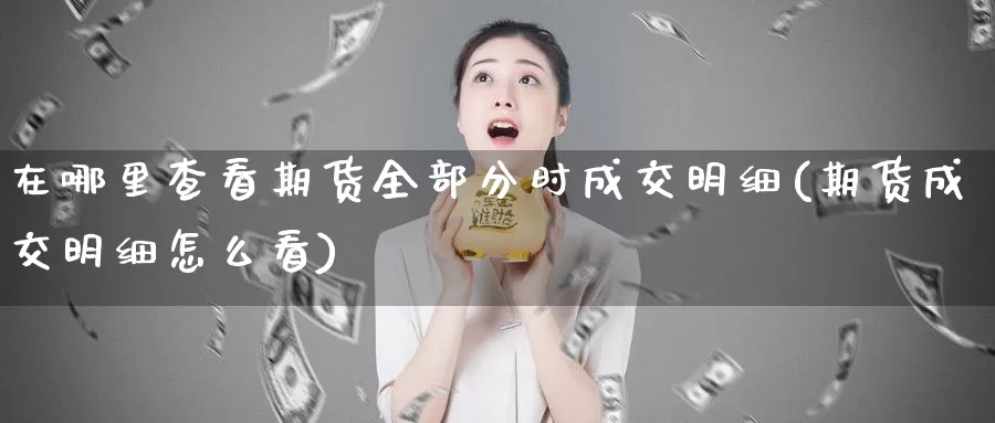 在哪里查看期货全部分时成交明细(期货成交明细怎么看)