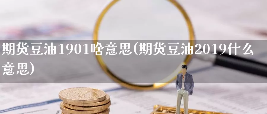 期货豆油1901啥意思(期货豆油2019什么意思)