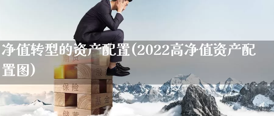 净值转型的资产配置(2022高净值资产配置图)