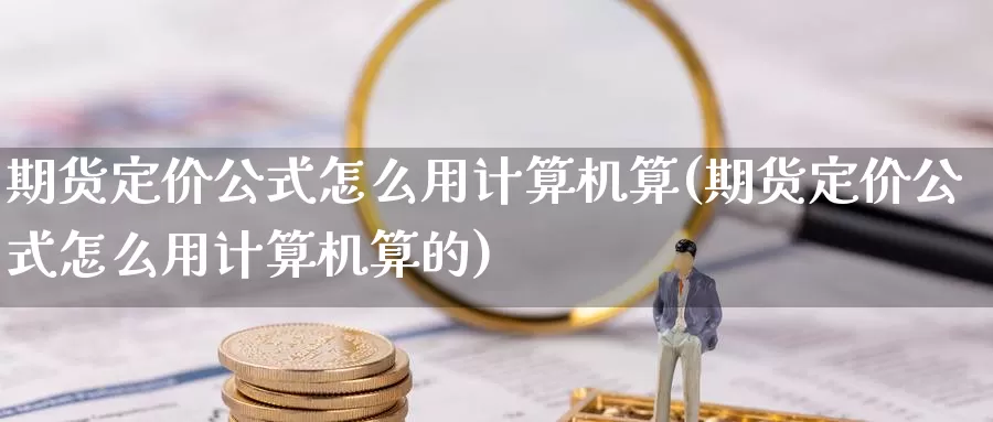 期货定价公式怎么用计算机算(期货定价公式怎么用计算机算的)