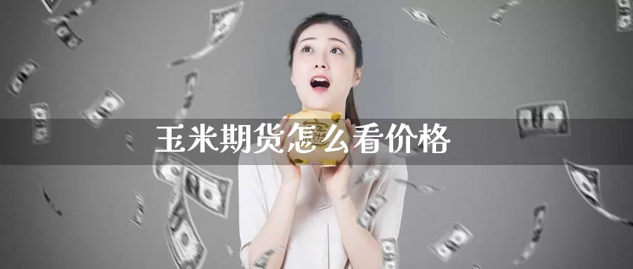 玉米期货怎么看价格