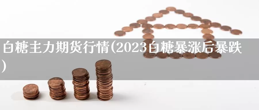 白糖主力期货行情(2023白糖暴涨后暴跌)