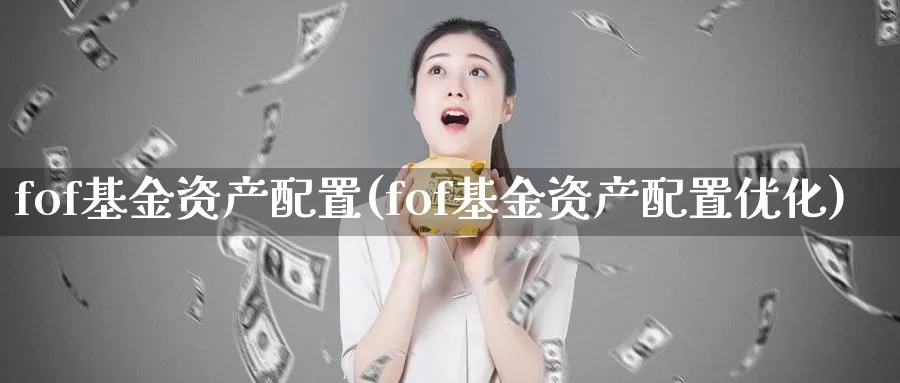 fof基金资产配置(fof基金资产配置优化)