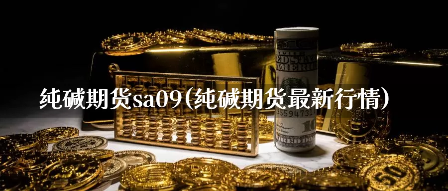 纯碱期货sa09(纯碱期货最新行情)