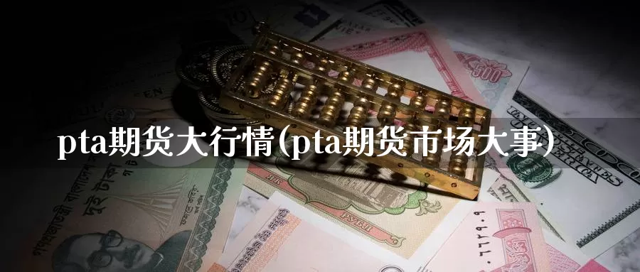 pta期货大行情(pta期货市场大事)