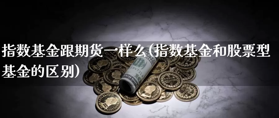 指数基金跟期货一样么(指数基金和股票型基金的区别)