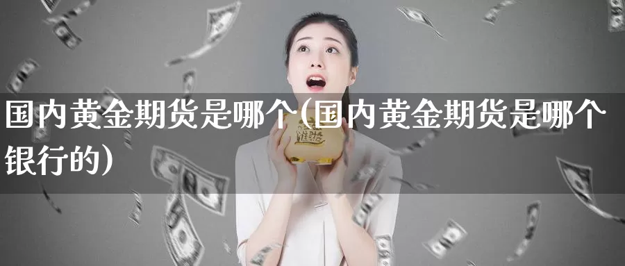 国内黄金期货是哪个(国内黄金期货是哪个银行的)