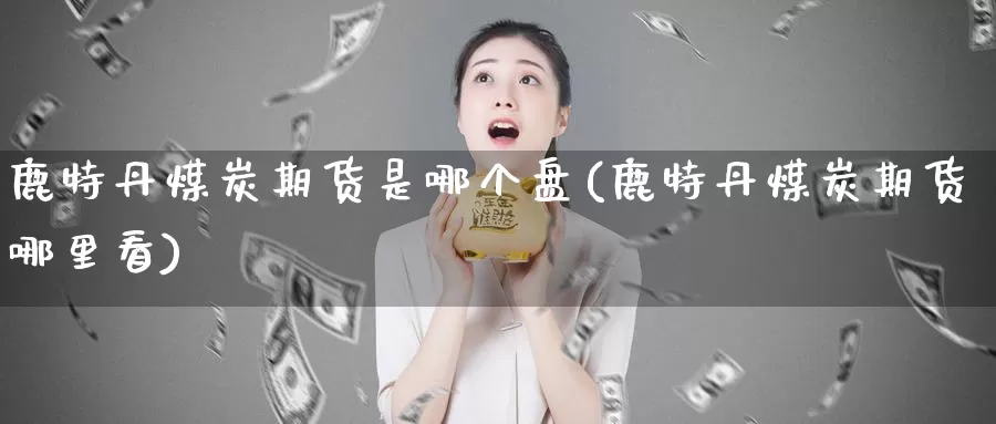 鹿特丹煤炭期货是哪个盘(鹿特丹煤炭期货哪里看)