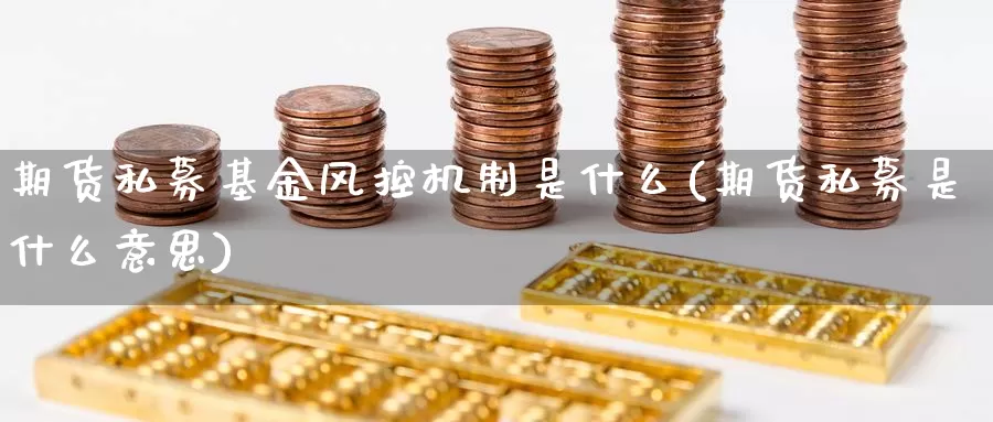 期货私募基金风控机制是什么(期货私募是什么意思)