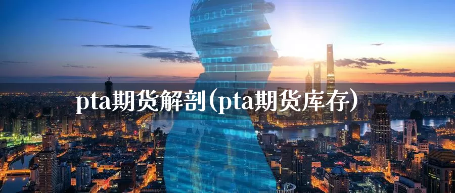 pta期货解剖(pta期货库存)