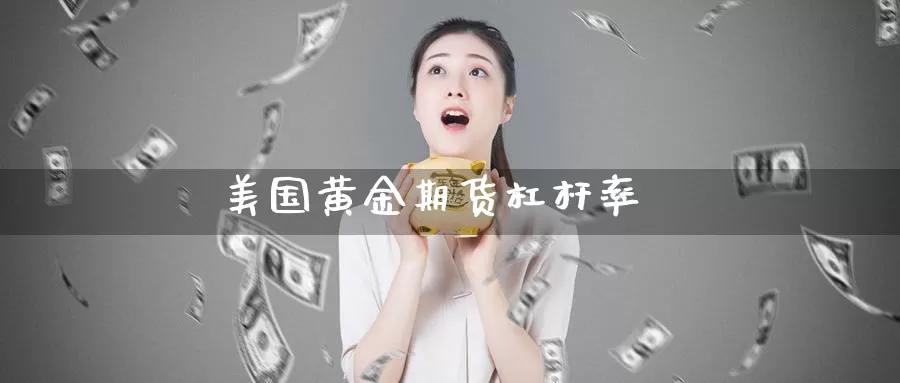 美国黄金期货杠杆率