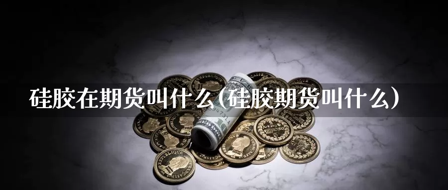 硅胶在期货叫什么(硅胶期货叫什么)