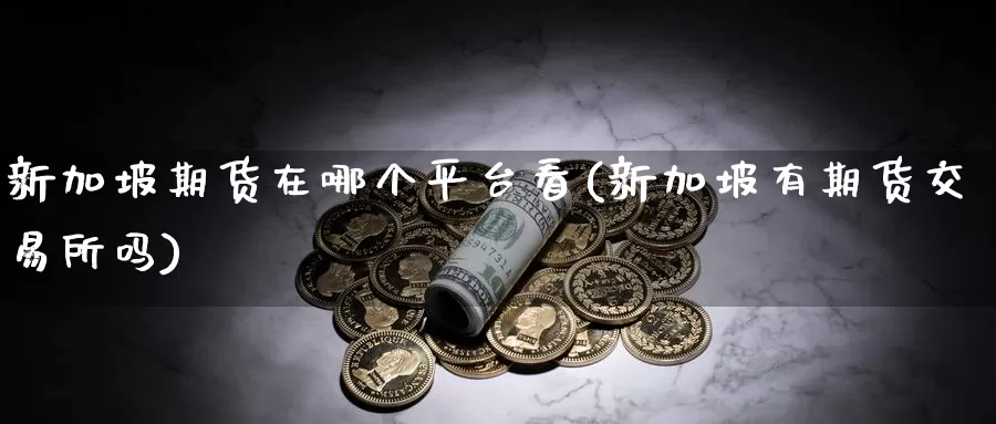 新加坡期货在哪个平台看(新加坡有期货交易所吗)