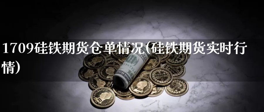 1709硅铁期货仓单情况(硅铁期货实时行情)