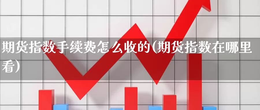 期货指数手续费怎么收的(期货指数在哪里看)