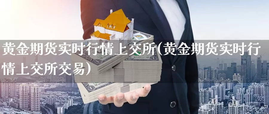 黄金期货实时行情上交所(黄金期货实时行情上交所交易)