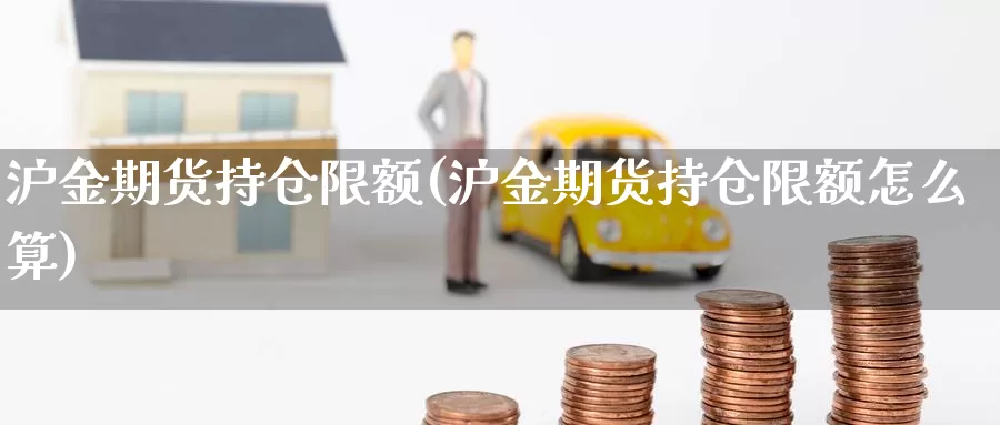 沪金期货持仓限额(沪金期货持仓限额怎么算)