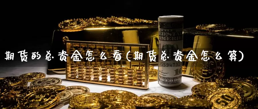 期货的总资金怎么看(期货总资金怎么算)